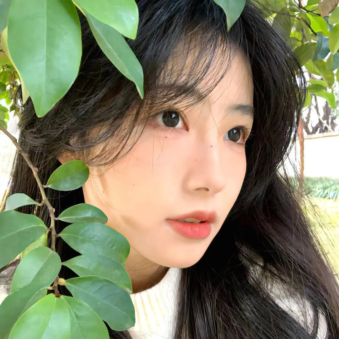 平凡的世界